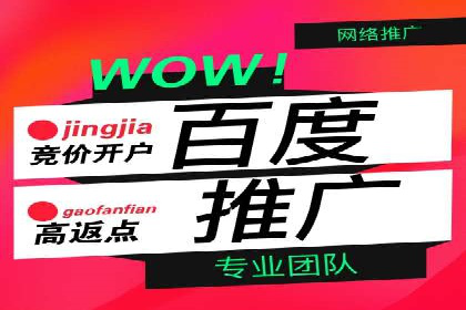 顶级SEM运营公司案例分析